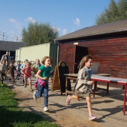 DSC 4758 - Scouts en Gidsen Zaventem 
